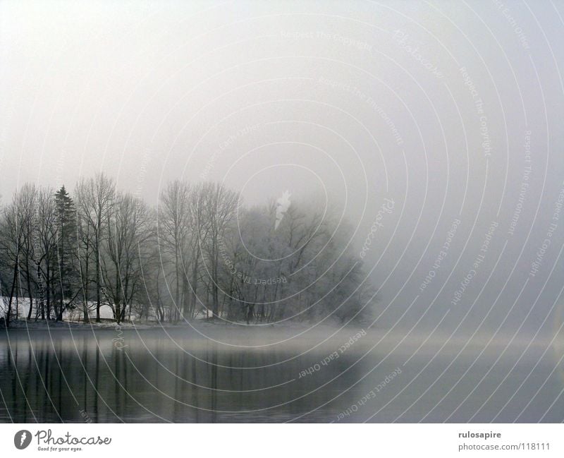 Silent Lake II See kalt Baum Winter grau schwarz Nebel Nebelbank Wolken mystisch schlechtes Wetter Trauer ruhig abgelegen Außenaufnahme Bayern Kochelsee Himmel