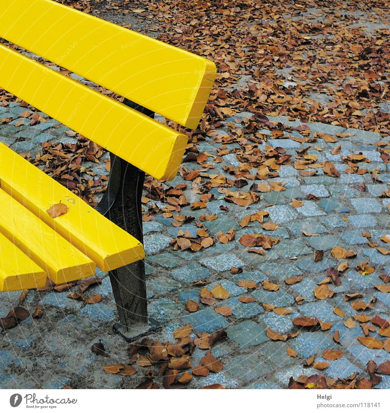 Teil einer gelben Bank auf Kopfsteinpflaster  mit Herbstlaub Park Parkbank pflastern Blatt fallen stehen Einsamkeit Zusammensein nebeneinander grau schwarz