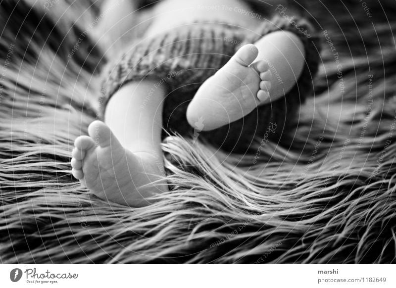 Strampelfüßchen Mensch Kind Baby Kleinkind Beine 1 0-12 Monate Gefühle Stimmung Fell Babybett Geburt Nachkommen Zehen babyfotografie Kinderwunsch kindlich schön