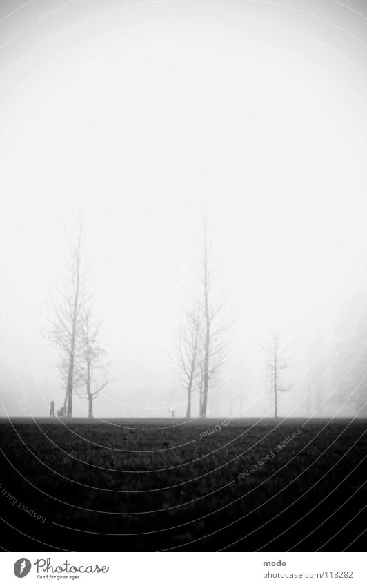 Nebel Englischer Garten Trauer Baum Wiese Wolken Winter Herbst Mensch Rasen laufen hoch
