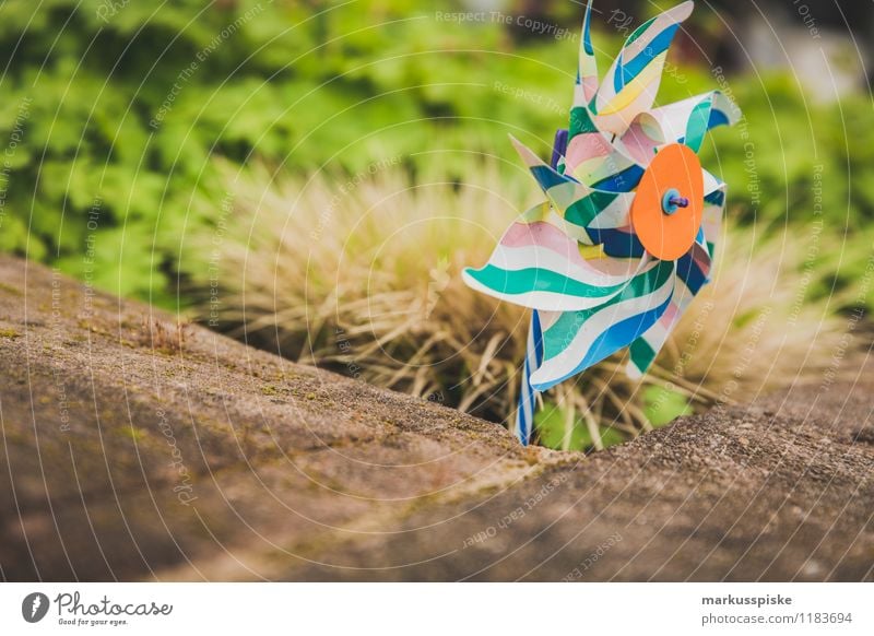 windrad Spielen Garten Bildung Kindergarten Spielzeug Windrad mehrfarbig Statue drehen Drehung blasen Kindheit Farbfoto Außenaufnahme Menschenleer