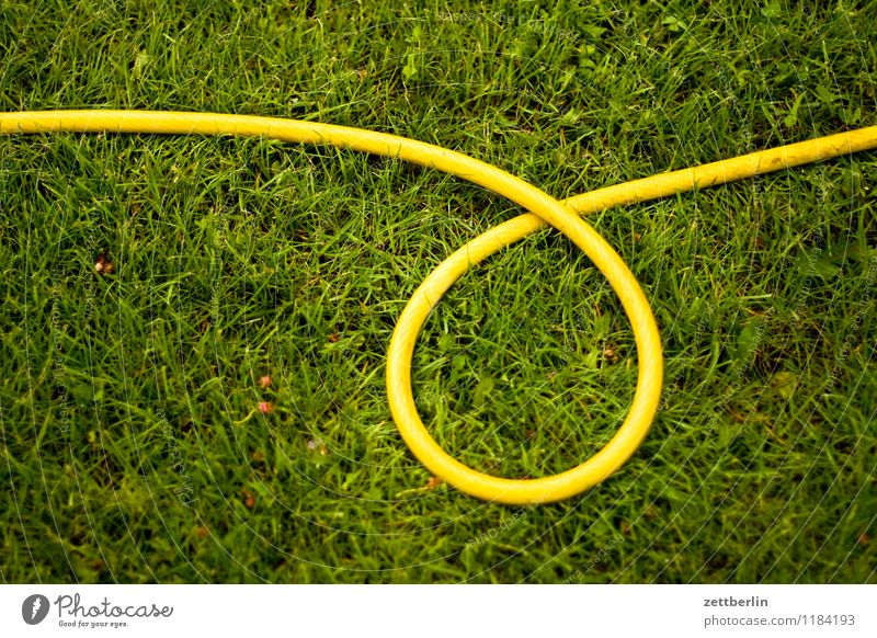 Schlauch Frühling Garten Schrebergarten Gras Rasen Sportrasen Wiese Gartenschlauch Bewässerung Pflanze Rasensprenger gießen gelb Schlaufe Spirale Windung Kreis