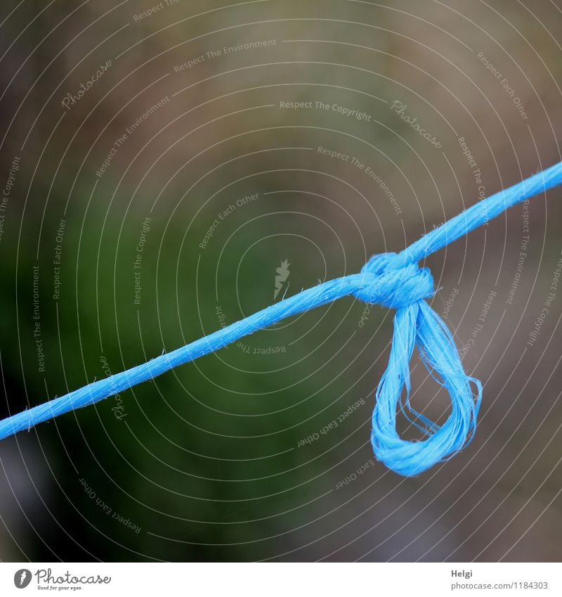 anbändeln... Schnur Knoten hängen authentisch außergewöhnlich einfach einzigartig lang blau grau Wandel & Veränderung diagonal Farbfoto mehrfarbig Außenaufnahme