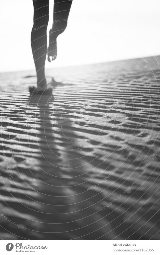 déchaux Kunst ästhetisch Zufriedenheit Laufsport laufen Joggen Beine Fuß Barfuß Sand Gefühle berühren Wüste Bewegung Dynamik Frauenbein dezent Schwarzweißfoto