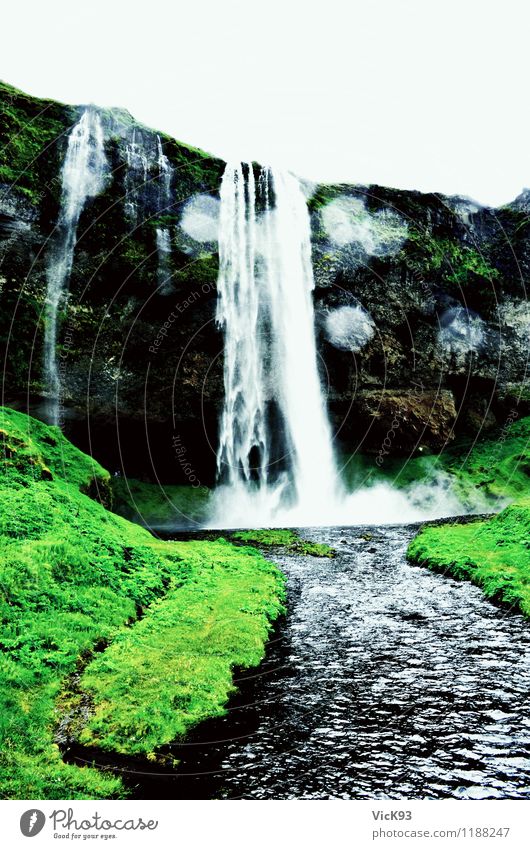 Seljalandsfoss Natur Landschaft Wasser Wassertropfen Gras Moos Wasserfall entdecken Erholung gigantisch nass Abenteuer erleben Ferien & Urlaub & Reisen Freiheit