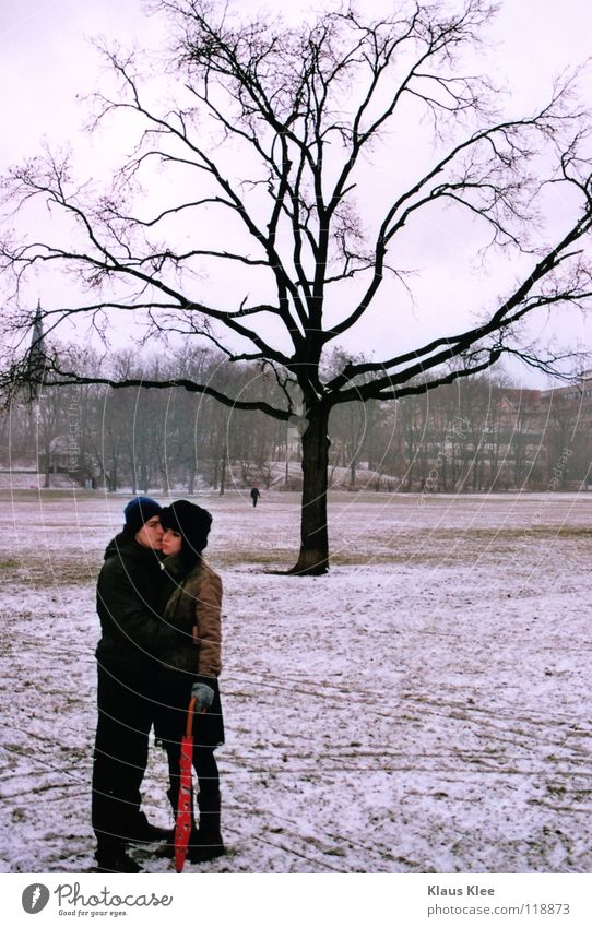 NAHDISTANZ :. Liebe Küssen Regenschirm Winter Zärtlichkeiten Ferne Intimität Hass Defensive berühren Dresden Park Baum Einsamkeit Langeweile Jugendliche