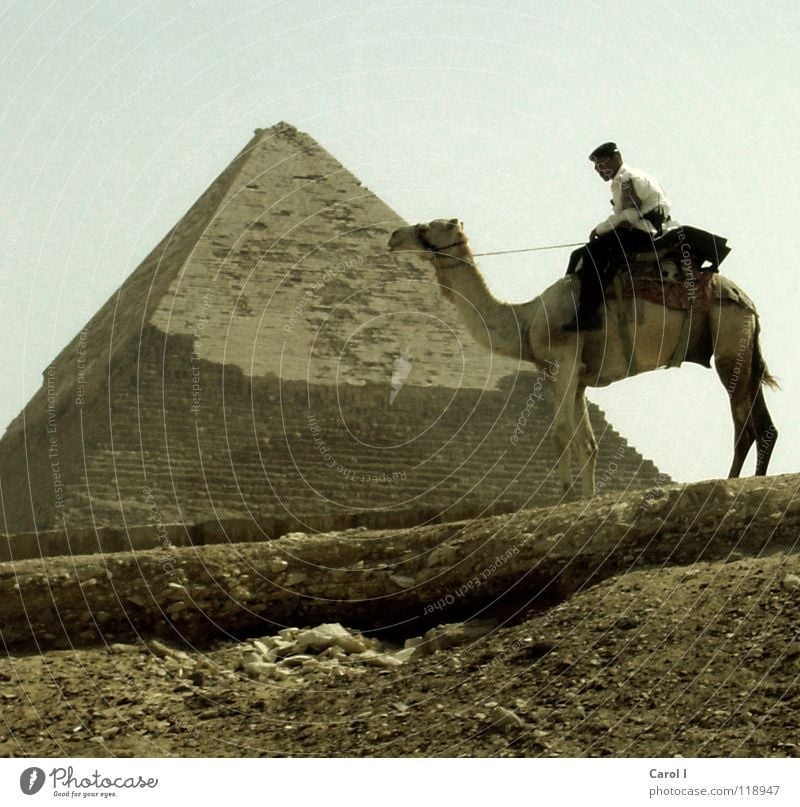 Polizei auf Kamel gelb Sand bewachen Sternbild Gizeh Langeweile Uniform Ägypten Ägypter Dreieck Pharaonen reich dunkel Symbole & Metaphern retten Kairo Peitsche