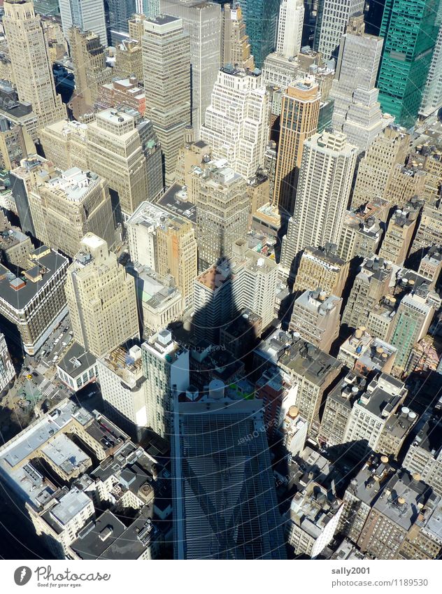 empirischer Schatten... New York City USA Amerika Stadt Stadtzentrum Skyline überbevölkert Haus Hochhaus Architektur Sehenswürdigkeit Wahrzeichen