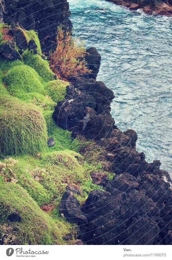 Tricolor Sommerurlaub Natur Landschaft Urelemente Wasser Gras Moos Felsen Wellen Küste Meer blau braun grün Farbfoto Gedeckte Farben Außenaufnahme
