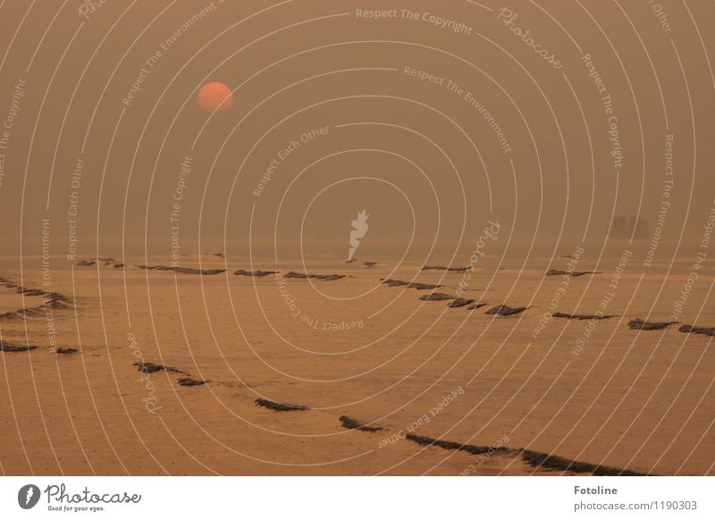 Nordsee Umwelt Natur Landschaft Urelemente Wasser Sonne Sonnenaufgang Sonnenuntergang Wellen Küste Meer frei frisch Unendlichkeit maritim nass natürlich