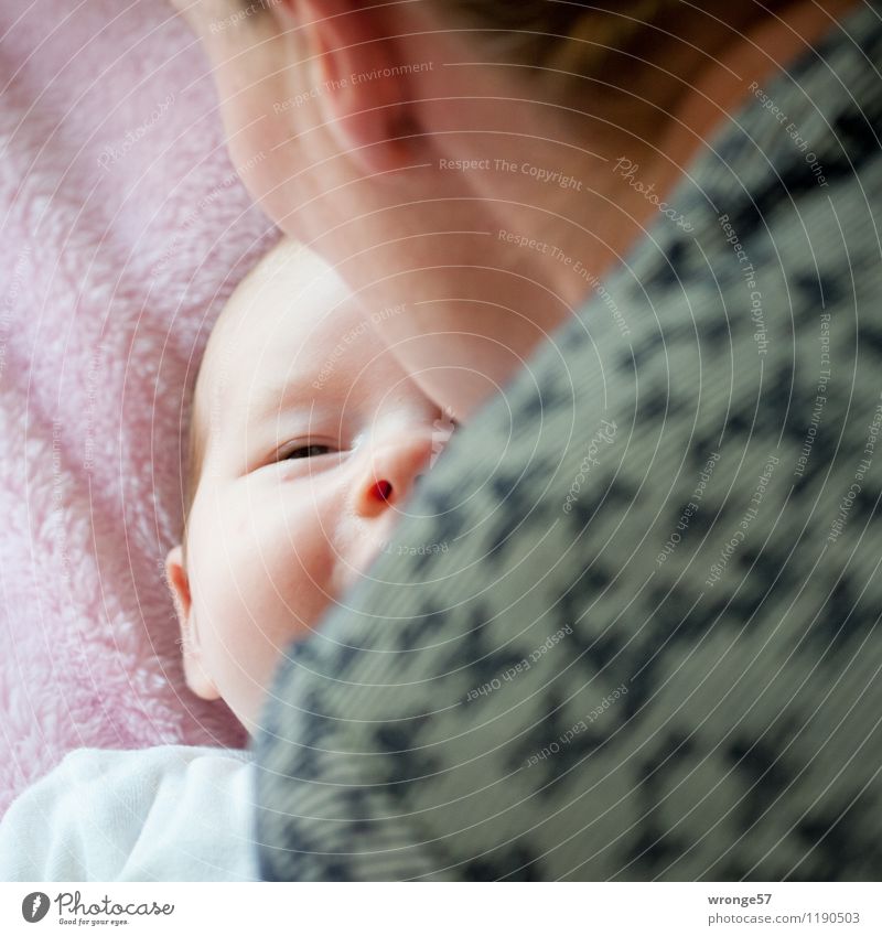 Junges Glück Mensch feminin Kind Baby Kleinkind Mädchen Junge Frau Jugendliche Mutter Erwachsene Familie & Verwandtschaft 2 0-12 Monate 30-45 Jahre liegen nah