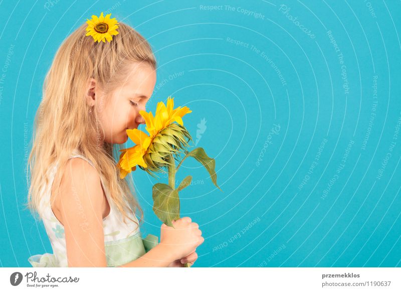 Geruch des Sommers schön Kind Mädchen 8-13 Jahre Kindheit Blüte Kleid blond klein blau gelb heiter horizontal eine Frühling Sonnenblume jung riechen Farbfoto