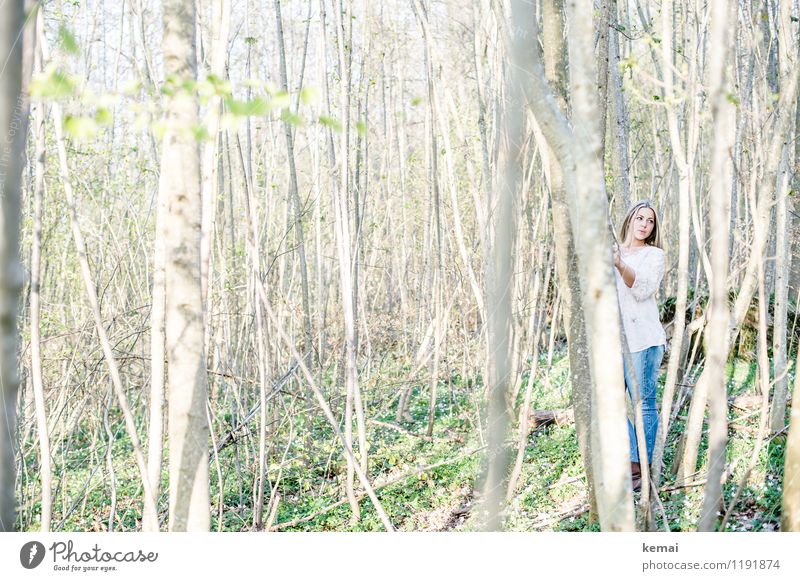 Junge Frau im Wald hinter Bäumen Lifestyle Stil Freizeit & Hobby Ausflug Abenteuer Mensch feminin Jugendliche Erwachsene Leben 1 18-30 Jahre Baum Baumstamm