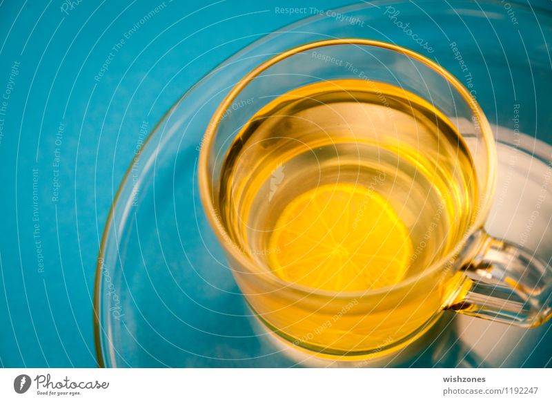 Lemon Tea in a Glass with blue Background Fasten Getränk Tee Teller Tasse Gesundheit Wellness harmonisch Wohlgefühl gelb cup of tea Zitrone zitronentee blau