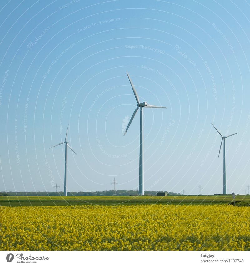 Windenergie alternativ Energie Energiewirtschaft Elektrizität regenerativ grün Klimaschutz Klimawandel Kraft Stromkraftwerke Sonnenenergie Solarzelle