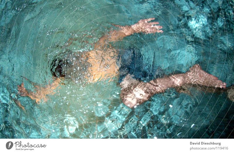 Sie nannten ihn Delphin... Schwimmen & Baden tauchen Wasseroberfläche Wasserwirbel türkis Schwimmbad Ganzkörperaufnahme Erwachsene Ein junger erwachsener Mann