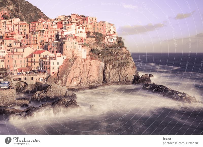 Sonnenbrille Wasser Himmel Wolken Horizont Sommer Schönes Wetter Wellen Küste Meer Manarola Dorf Haus Fassade alt hoch wild braun Romantik Idylle Cinque Terre