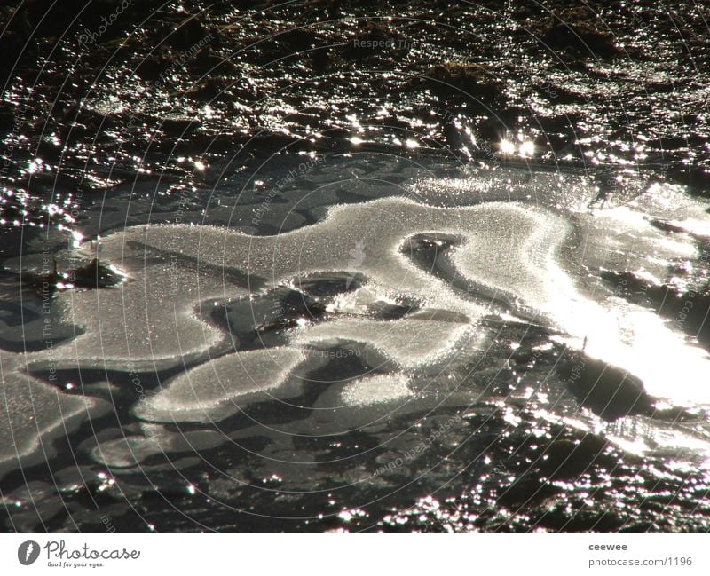 eisige Pfütze kalt Gegenlicht Winter Wasser Eis Reflexion & Spiegelung