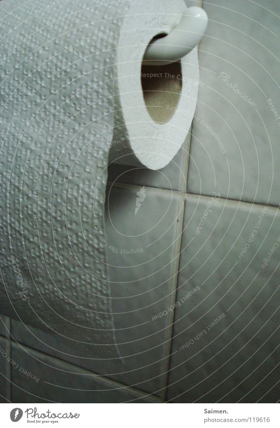 Gute Aussichten Bad Toilettenpapier weiß Halterung Innenaufnahme Klorolle Fliesen u. Kacheln Schatten Freiheit Freude Makroaufnahme