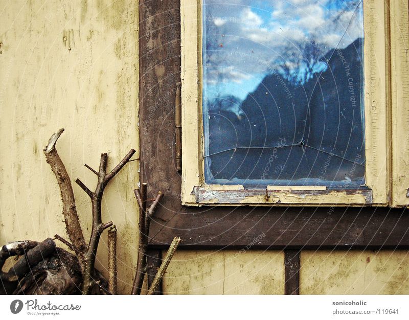 Einschussloch Loch Fenster Fensterrahmen Holz springen Vergangenheit Einsamkeit trist Vergänglichkeit Schuss Himmel Ast alt