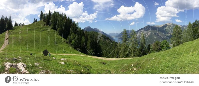 Karwendel am Achensee bei Pertisau Ferien & Urlaub & Reisen Ausflug Berge u. Gebirge wandern Natur Landschaft Wasser Himmel Wolken Sommer Baum Gras Wiese Wald