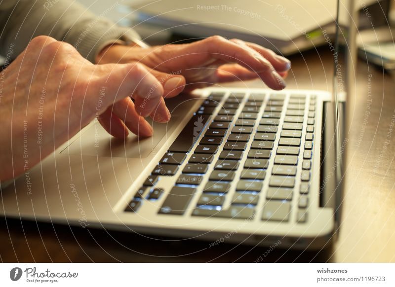 Hands typing on a Laptop Bildung Erwachsenenbildung Arbeit & Erwerbstätigkeit Büroarbeit Kapitalwirtschaft Business Mittelstand Computer Notebook Tastatur