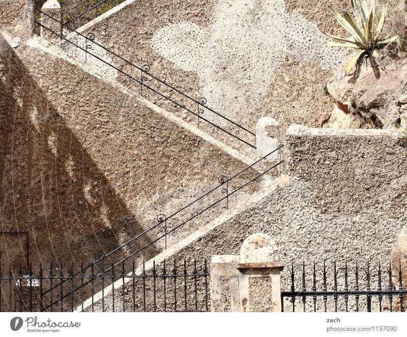 Aufstiegsmöglichkeit Städtereise Pflanze Grünpflanze Palme Barcelona Spanien Stadt Altstadt Burg oder Schloss Ruine Mauer Wand Treppe Fassade Wege & Pfade Linie