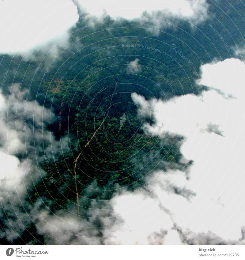 Kamerun von oben I Farbfoto Luftaufnahme Menschenleer Vogelperspektive Freiheit Luftverkehr Landschaft Wolken Wald Urwald Afrika Straße Flugzeug grün weiß