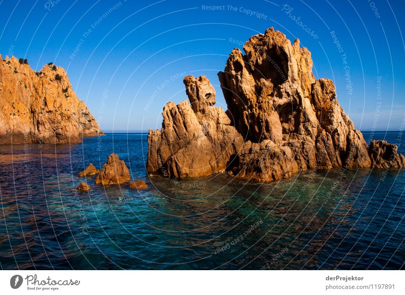 Felsige Küste von Korsika Ferien & Urlaub & Reisen Tourismus Ausflug Abenteuer Ferne Kreuzfahrt Sommerurlaub Umwelt Natur Landschaft Pflanze Tier Urelemente