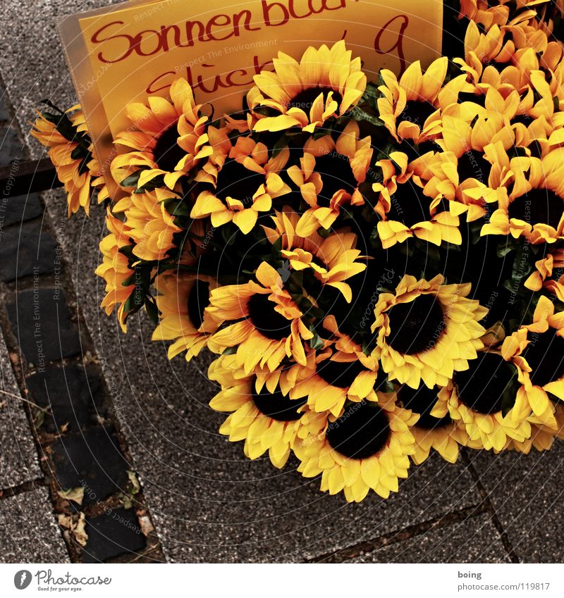 Sonnenblume fürs Knopfloch Raps Blume Stoffblüten Strohblume Dekoration & Verzierung Sommer Straßenhändler Blumenstand Muttertag Verabredung Handel Großmarkt