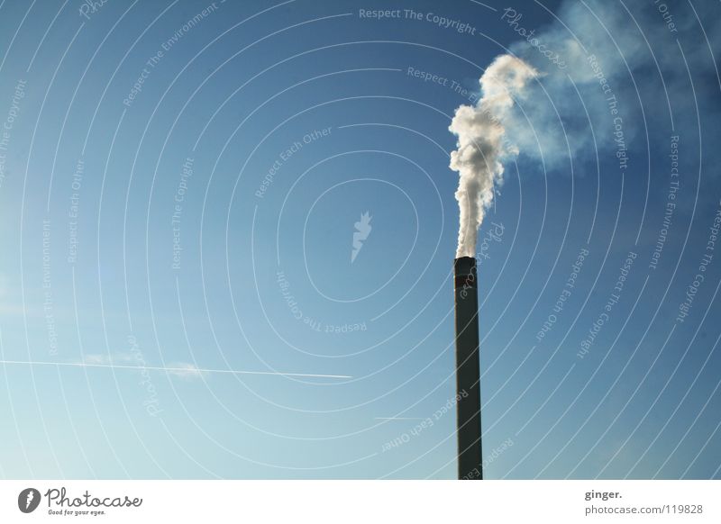 Viel Rauch im Nichts Industrie Himmel Schornstein hoch oben blau weiß aufsteigen leer Wolkenloser Himmel Textfreiraum links Umweltverschmutzung Menschenleer