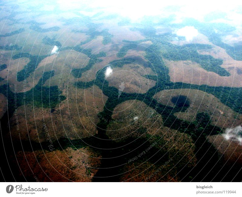 Kamerun von oben IV Farbfoto Luftaufnahme Menschenleer Vogelperspektive Ferne Berge u. Gebirge Wolken Wald Urwald Afrika Flugzeug fliegen Einsamkeit