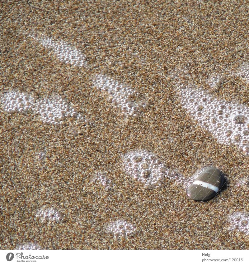Kieselstein mit weißem Streifen am Sandstrand mit Schaumblasen Kieselsteine flach grau gestreift Linie Strand Küste finden Meer Meerwasser Gischt Wellen fließen