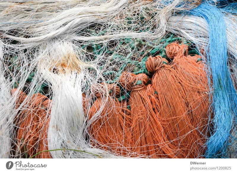 Netzwerken 3 Fisch Fischerboot Linie Knoten fangen alt dreckig Ekel kaputt natürlich orange weiß nachhaltig Natur Angeln Fischernetz Schnur Farbfoto