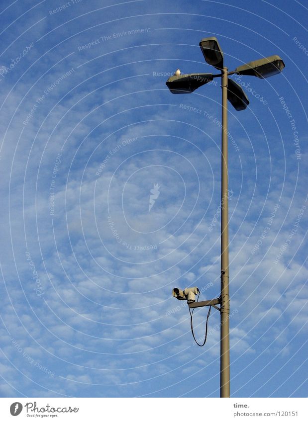 Vorsicht, von oben, Herr Innenminister! Lampe Laterne Straßenbeleuchtung Möwe Vogel Wolken Sicherheit Fotokamera Überwachung Blech Dienstleistungsgewerbe Macht