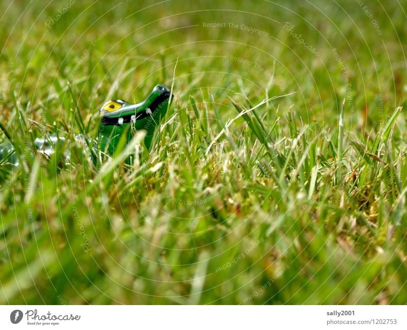 Gefährliches Tier auf Boden und Acker... Pflanze Gras Garten Park Wiese Krokodil Alligator 1 beobachten entdecken Jagd bedrohlich Neugier grün Überleben