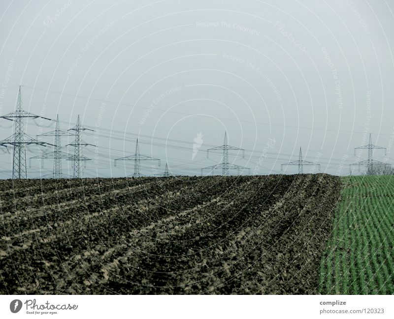 Überlandleitung Elektrizität Feld Kabel Strommast Hochspannungsleitung Energiewirtschaft Erneuerbare Energie Kosten Haushalt Landwirtschaft Stromverbrauch teuer