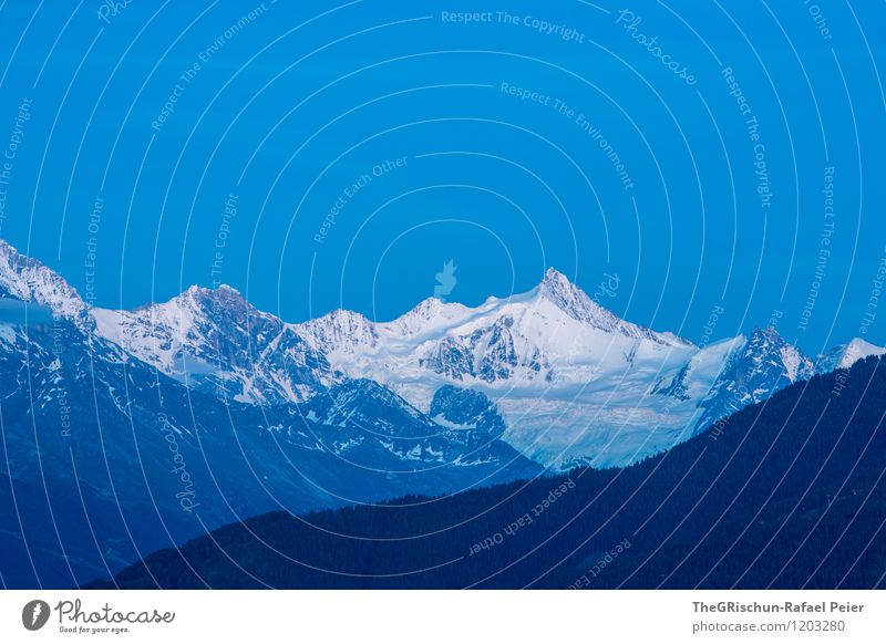 Swiss Alps Umwelt Natur Landschaft Himmel Wolkenloser Himmel Horizont Schnee Felsen Alpen Berge u. Gebirge Gipfel Schneebedeckte Gipfel Gletscher blau grau