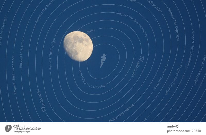 Luna dunkel Nacht Vollmond Planet Mondschein Romantik Wolf Märchen Beleuchtung Himmelskörper & Weltall blau Mann im Mond anheulen hell Abend Abenddämmerung