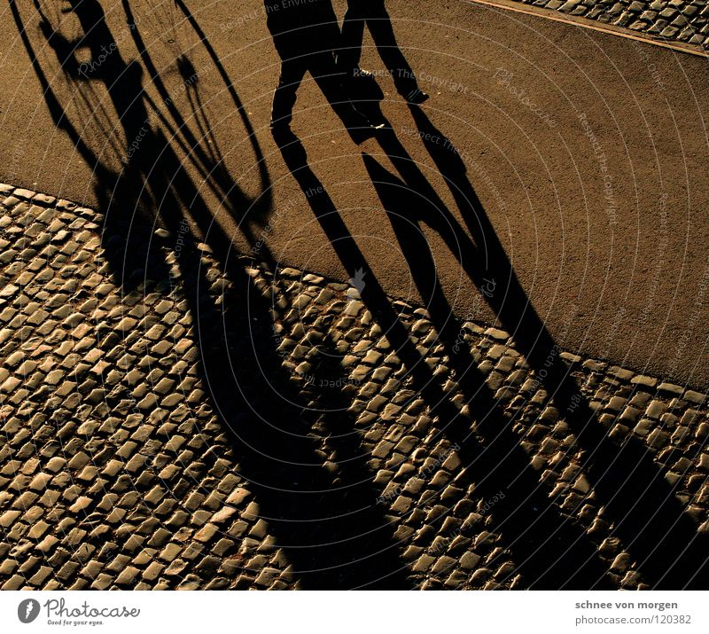 schattenwerfer Winter Fahrrad gehen Freizeit & Hobby ruhig Sonntag gelb Frieden Schatten Spaziergang Mensch laufen Kopfsteinpflaster sun sunday going shadow