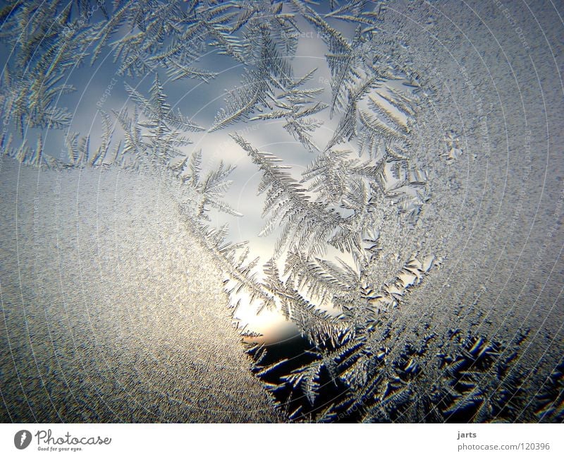 Durchblick Eisblumen Eiskristall Winter kalt Fenster Wolken Kristallstrukturen Frost Himmel jarts