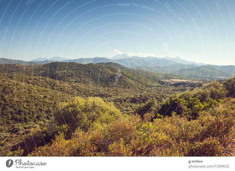 Korsika Natur Landschaft Himmel Sommer Wald Hügel Ferien & Urlaub & Reisen groß Unendlichkeit Wärme blau grün mediterran Insel Farbfoto Außenaufnahme