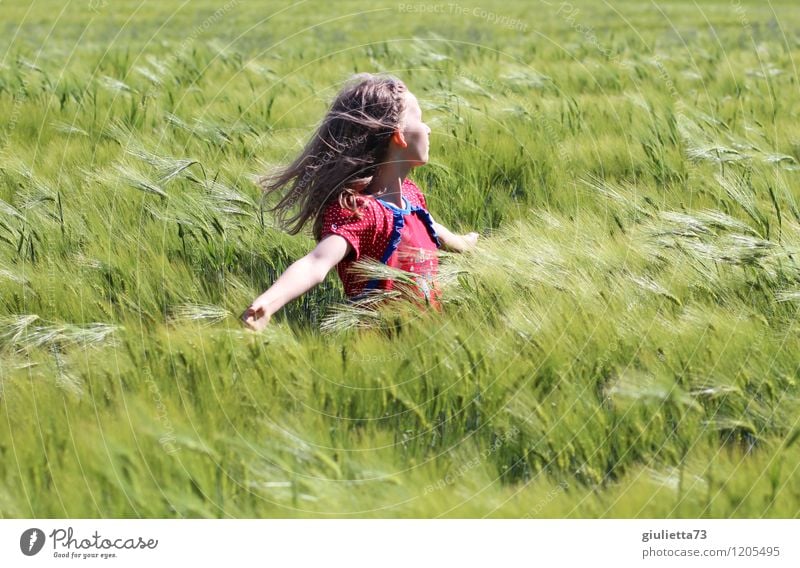 "Nur Fliegen ist schöner!" , Mädchen mit Wind in den Haaren im Kornfeld Spielen Kind Kindheit Leben 1 Mensch 8-13 Jahre Sonne Frühling Schönes Wetter Pflanze