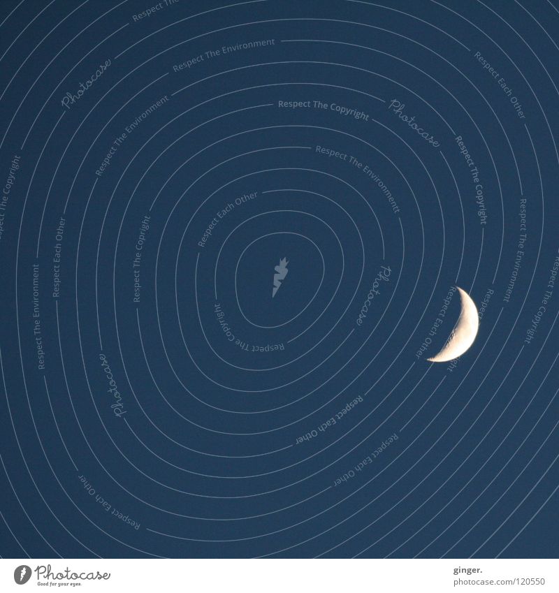 Der faszinierende Erdumrunder Mond blau weiß Himmelskörper & Weltall Nachthimmel Sichelmond Textfreiraum oben Textfreiraum unten Textfreiraum links Menschenleer