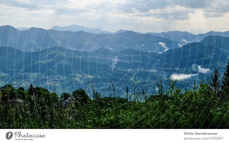 Italienische Bergwälder Ferien & Urlaub & Reisen Tourismus Ferne Sommerurlaub Berge u. Gebirge wandern Umwelt Natur Landschaft Pflanze Himmel Wolken Baum Gras