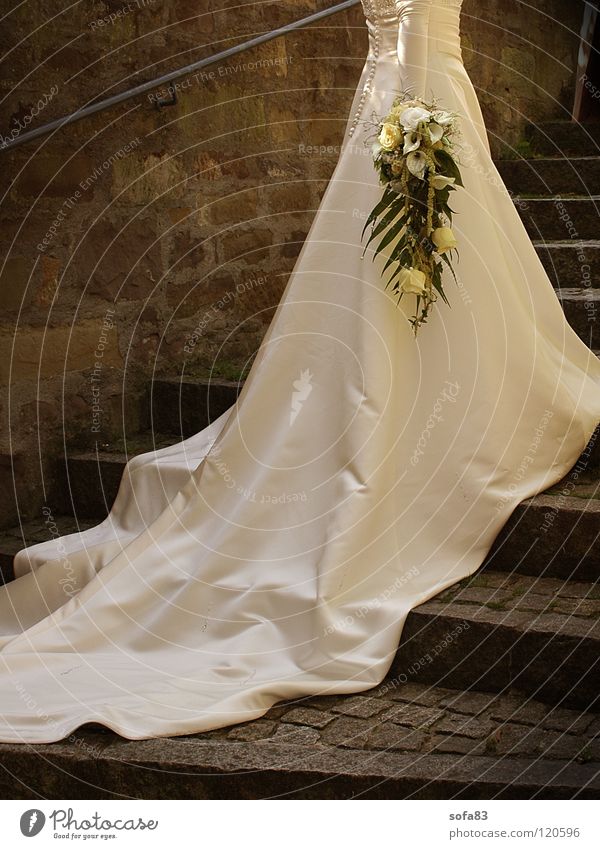 1/2 braut (2) Braut Kleid Brautkleid Hochzeit Blume Blumenstrauß weiß Treppe schleppe ganz in weiß schönster tag einmal im leben