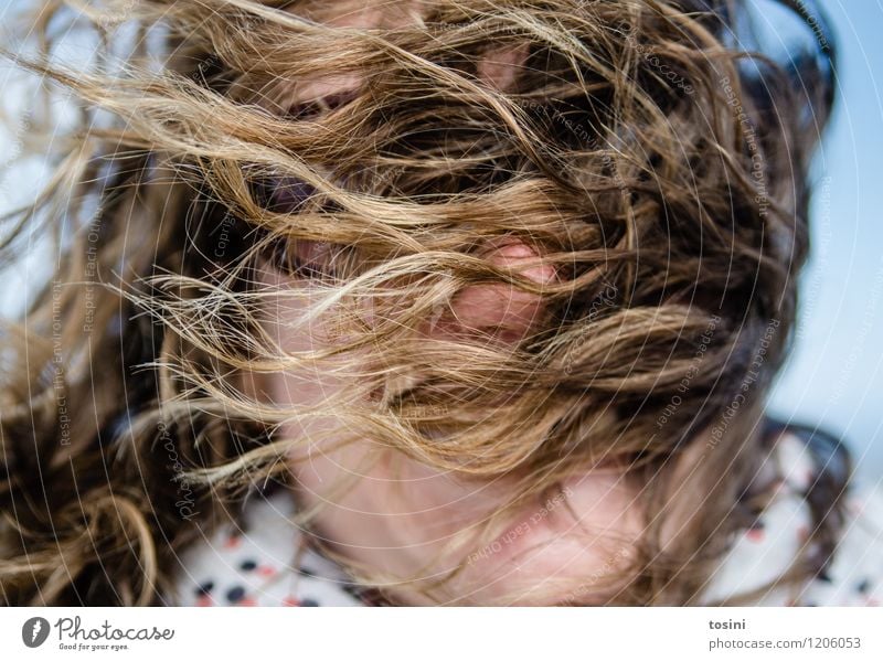 Frau im Wind mit den Haaren im Gesicht Mensch feminin Junge Frau Erwachsene Kopf Haare & Frisuren 1 Klima Wetter schlechtes Wetter Sturm Natur wild Sonnenbrille