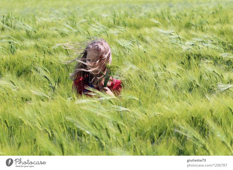 Naturkind Kind Mädchen Kindheit Leben Haare & Frisuren 1 Mensch 8-13 Jahre Umwelt Landschaft Frühling Schönes Wetter Wind Pflanze Nutzpflanze Kornfeld Gerste
