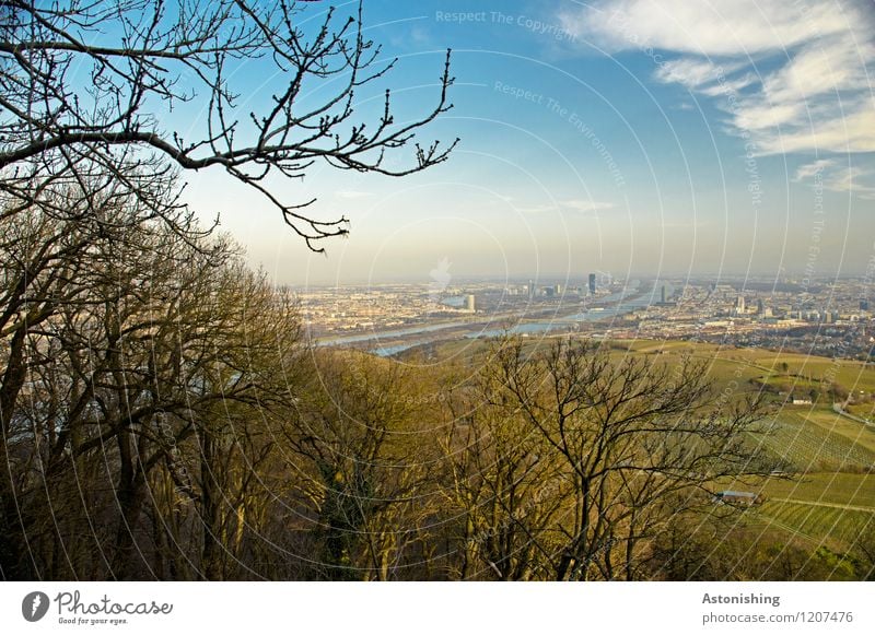 Blick auf Wien 1 Umwelt Natur Landschaft Luft Himmel Wolken Horizont Frühling Wetter Schönes Wetter Pflanze Baum Wald Hügel Fluss Donau Österreich Stadt