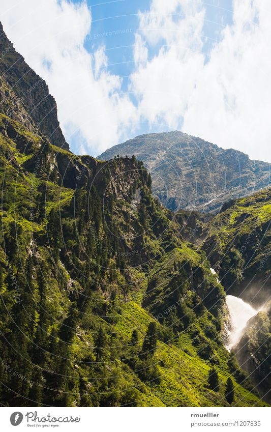 Landschaft Umwelt Natur Urelemente Erde Sommer Schönes Wetter Wärme Pflanze Baum Hügel Felsen Alpen Berge u. Gebirge Gipfel Bach Wasserfall beobachten entdecken